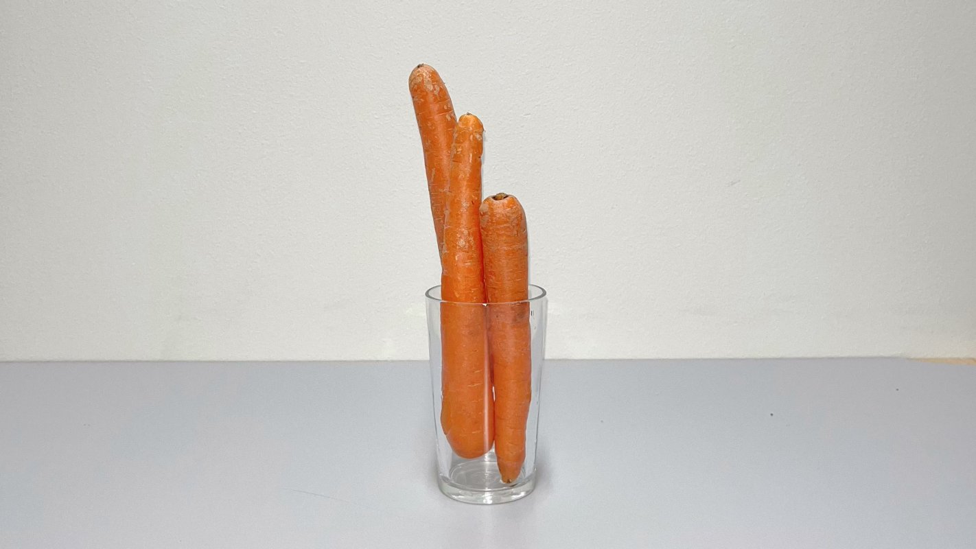 Xiaole Wang: Carrot Finger